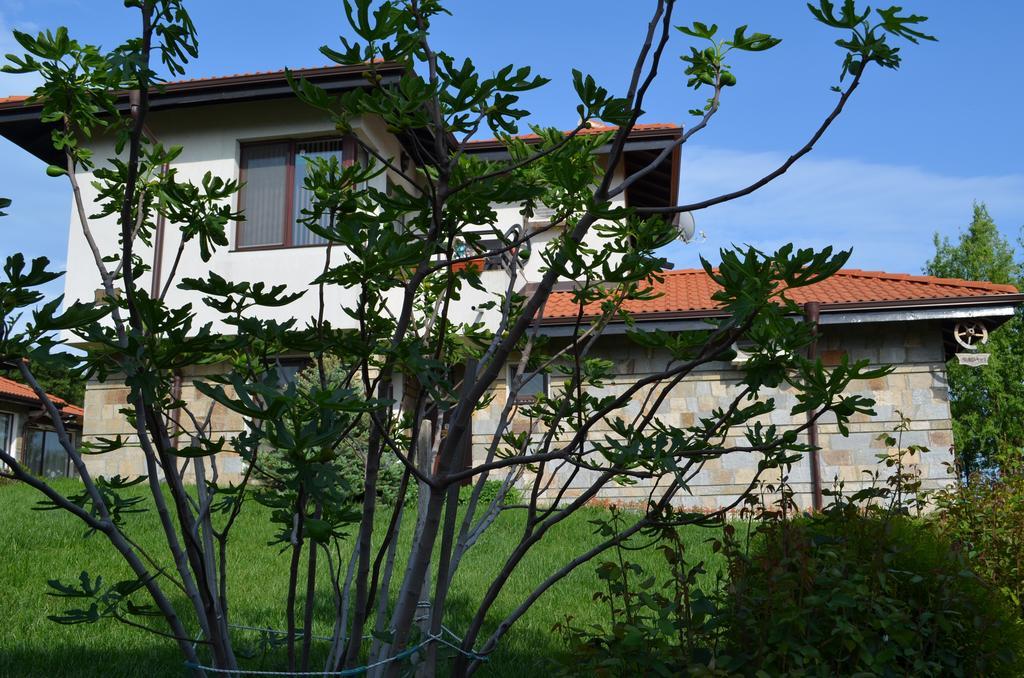 Villa On The Black Sea サニービーチ 部屋 写真